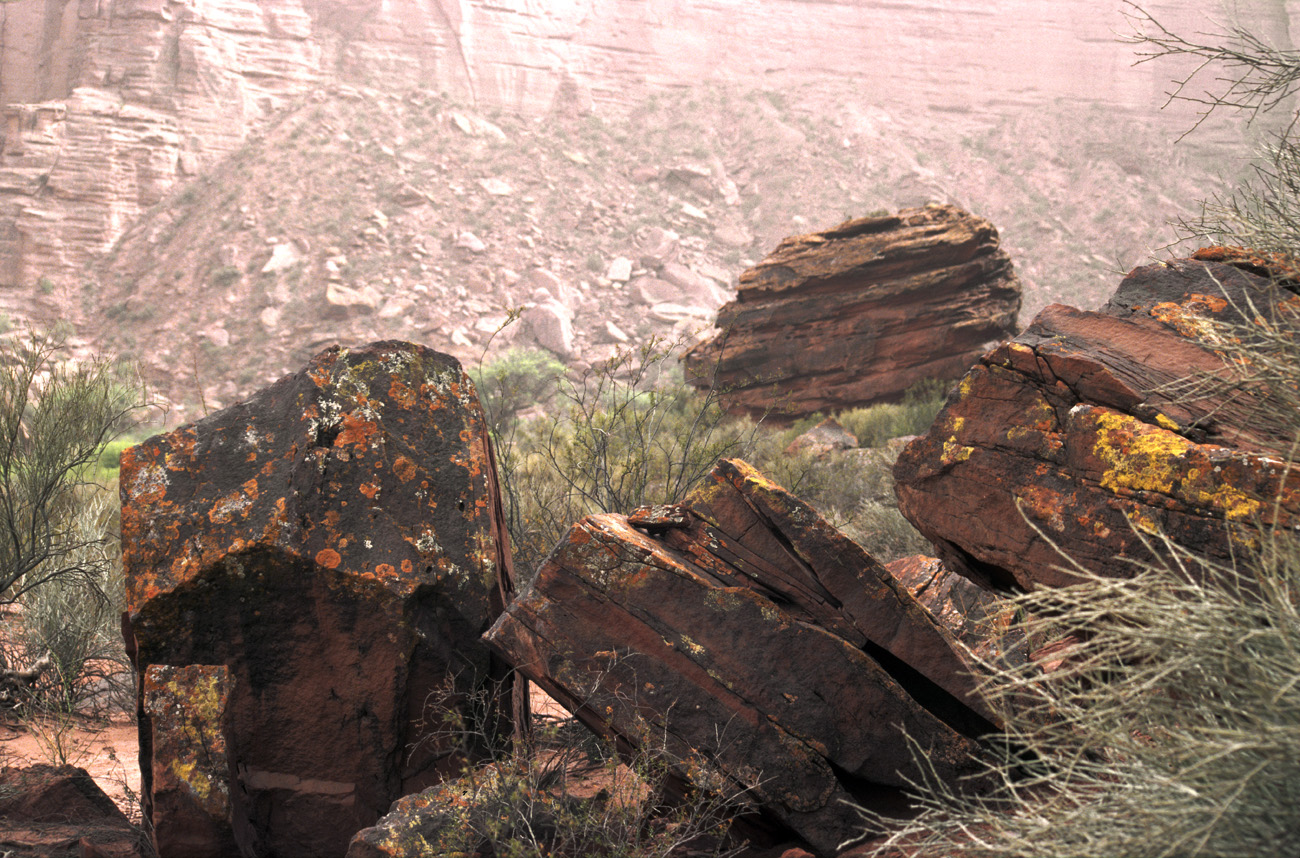 arg06_027m.jpg - Argentine, Noroeste, janvier 2006 de Valle Fertil à Talampaya canyon de Talampaya
