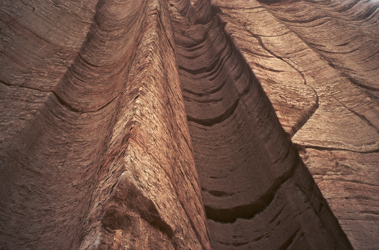 arg06_055l.jpg - Argentine, Noroeste, janvier 2006 de Valle Fertil à Talampaya canyon de Talampaya