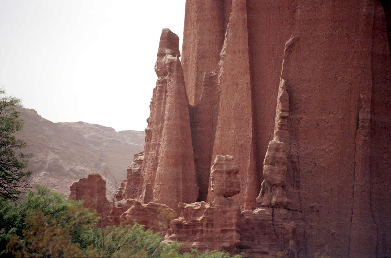 arg06_060m.jpg - Argentine, Noroeste, janvier 2006 de Valle Fertil à Talampaya canyon de Talampaya