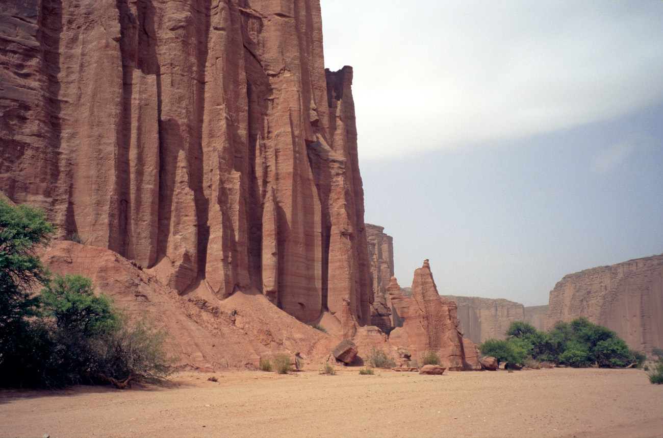 arg06_061l.jpg - Argentine, Noroeste, janvier 2006 de Valle Fertil à Talampaya canyon de Talampaya