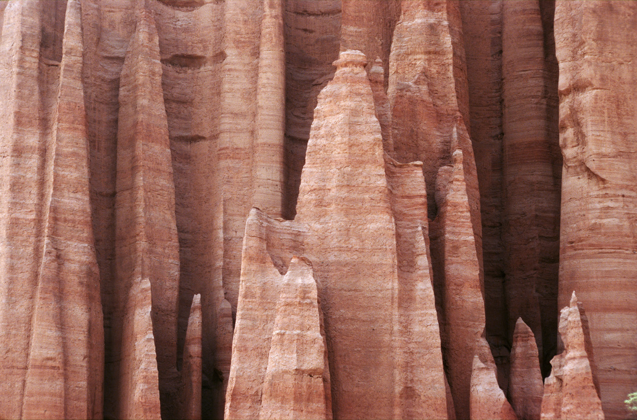 arg06_063m.jpg - Argentine, Noroeste, janvier 2006 de Valle Fertil à Talampaya canyon de Talampaya