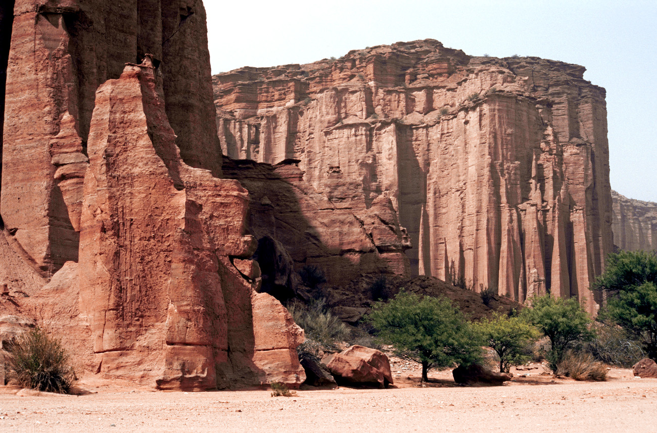 arg06_064m.jpg - Argentine, Noroeste, janvier 2006 de Valle Fertil à Talampaya canyon de Talampaya