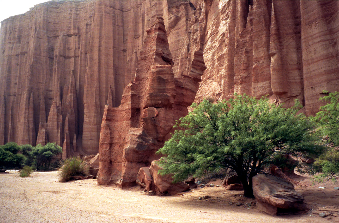 arg06_065l.jpg - Argentine, Noroeste, janvier 2006 de Valle Fertil à Talampaya canyon de Talampaya