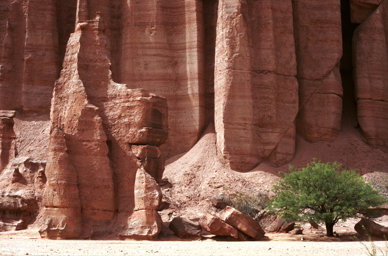arg06_066m.jpg - Argentine, Noroeste, janvier 2006 de Valle Fertil à Talampaya canyon de Talampaya