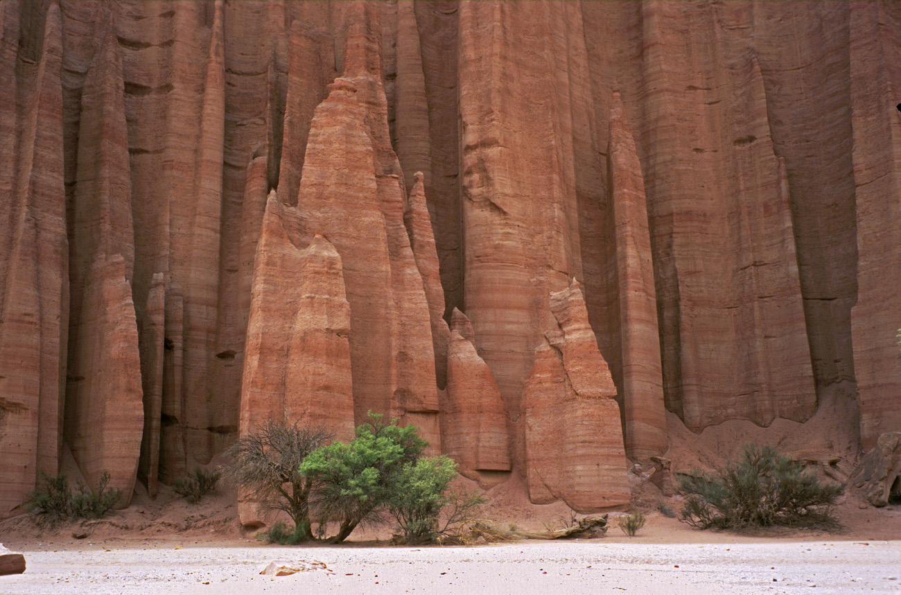 arg06_073l.jpg - Argentine, Noroeste, janvier 2006 de Valle Fertil à Talampaya canyon de Talampaya