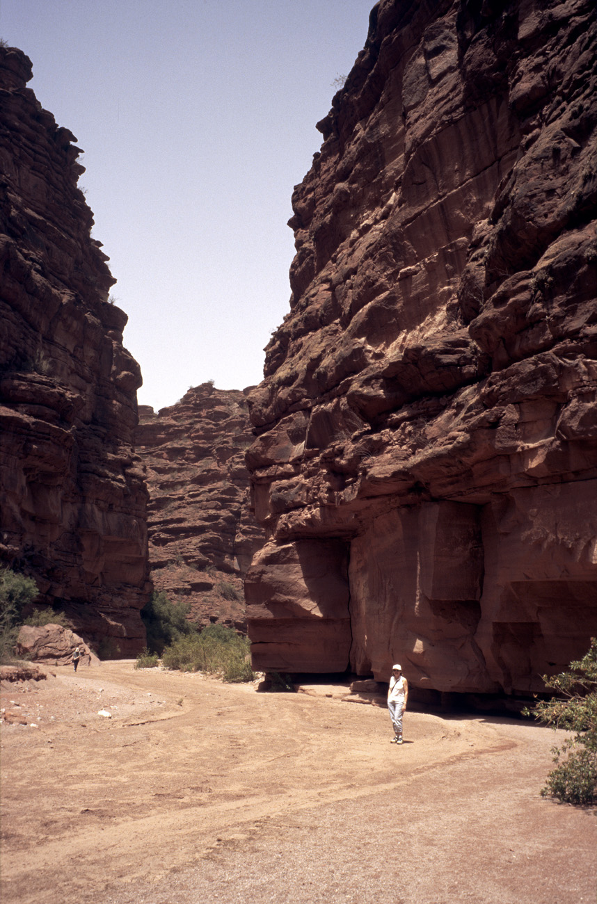 arg06_082l.jpg - Argentine, Noroeste, janvier 2006 de Valle Fertil à Talampaya un rio secondaire a créé une gorge étroite à quelques kilomètres à l'est du canyon de Talampaya