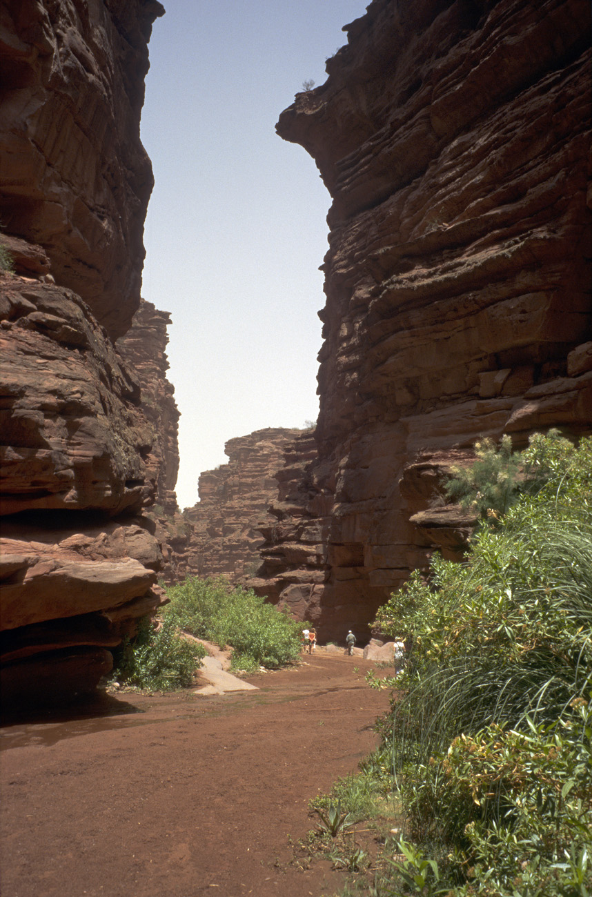 arg06_085l.jpg - Argentine, Noroeste, janvier 2006 de Valle Fertil à Talampaya un rio secondaire a créé une gorge étroite à quelques kilomètres à l'est du canyon de Talampaya