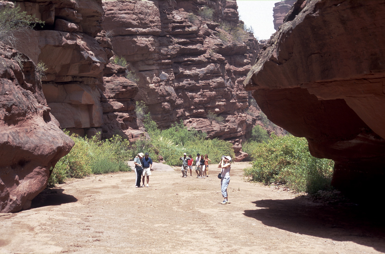 arg06_087m.jpg - Argentine, Noroeste, janvier 2006 de Valle Fertil à Talampaya un rio secondaire a créé une gorge étroite à quelques kilomètres à l'est du canyon de Talampaya
