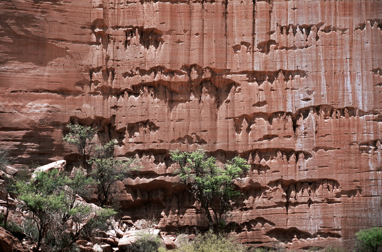 arg06_090m.jpg - Argentine, Noroeste, janvier 2006 de Valle Fertil à Talampaya canyon de Talampaya