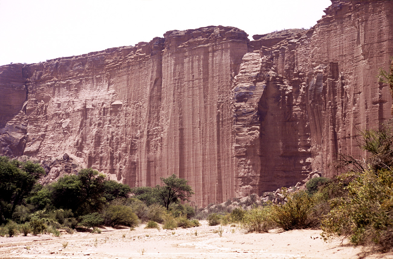 arg06_091m.jpg - Argentine, Noroeste, janvier 2006 de Valle Fertil à Talampaya canyon de Talampaya