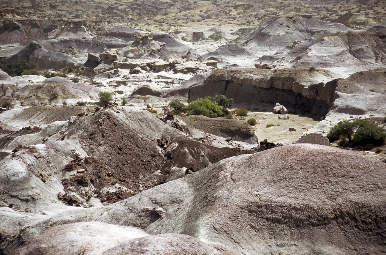arg06_096m.jpg - Argentine, Noroeste, janvier 2006 de Valle Fertil à Talampaya Ishigalasto (la vallée de la lune), et ses paysages minéraux. Le plus important gisement au monde de fossiles de dinosaures..