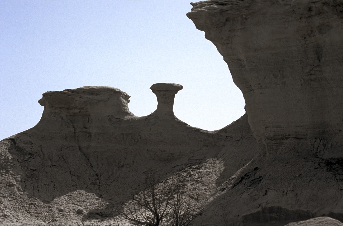 arg06_097m.jpg - Argentine, Noroeste, janvier 2006 de Valle Fertil à Talampaya Ishigalasto (la vallée de la lune), et ses paysages minéraux. Le plus important gisement au monde de fossiles de dinosaures..