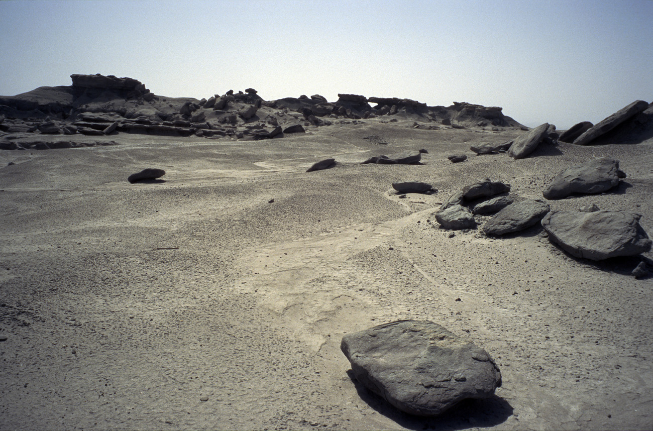 arg06_102l.jpg - Argentine, Noroeste, janvier 2006 de Valle Fertil à Talampaya Ishigalasto (la vallée de la lune), et ses paysages minéraux. Le plus important gisement au monde de fossiles de dinosaures..