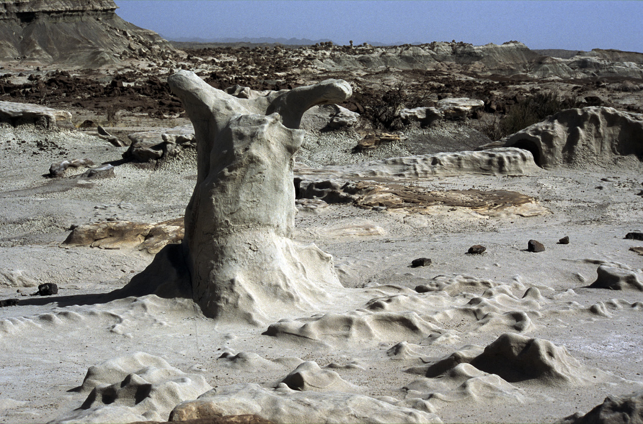 arg06_105m.jpg - Argentine, Noroeste, janvier 2006 de Valle Fertil à Talampaya Ishigalasto (la vallée de la lune), et ses paysages minéraux. Le plus important gisement au monde de fossiles de dinosaures..