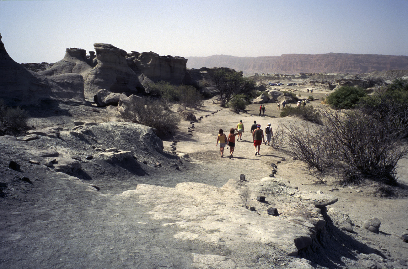 arg06_110l.jpg - Argentine, Noroeste, janvier 2006 de Valle Fertil à Talampaya Ishigalasto (la vallée de la lune), et ses paysages minéraux. Le plus important gisement au monde de fossiles de dinosaures..