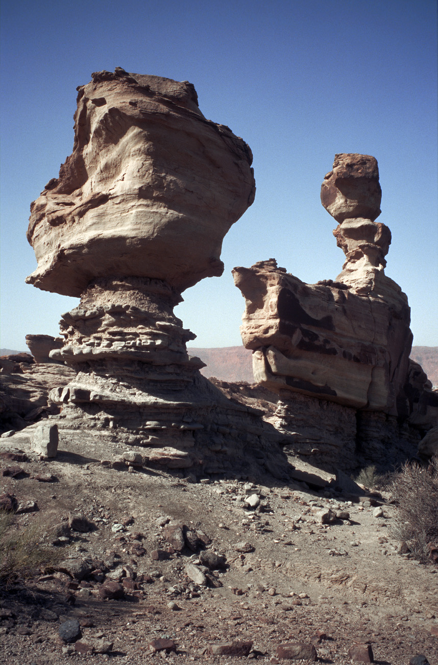 arg06_121l.jpg - Argentine, Noroeste, janvier 2006 de Valle Fertil à Talampaya Ishigalasto (la vallée de la lune), et ses paysages minéraux. Le plus important gisement au monde de fossiles de dinosaures..