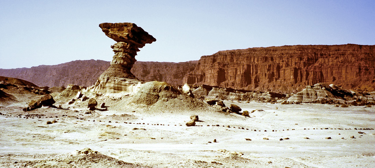 arg06_124l-p.jpg - Argentine, Noroeste, janvier 2006 de Valle Fertil à Talampaya Ishigalasto (la vallée de la lune), et ses paysages minéraux. Le plus important gisement au monde de fossiles de dinosaures..