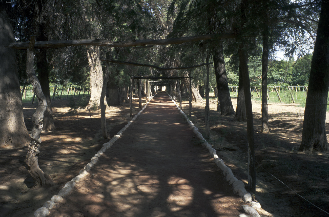 arg06_150l.jpg - Argentine, Noroeste, janvier 2006 de Pagancillo à Chilecito près de Chilecito, le domaine superbe où vivait le fondateur de l'Université de Buenos Aires