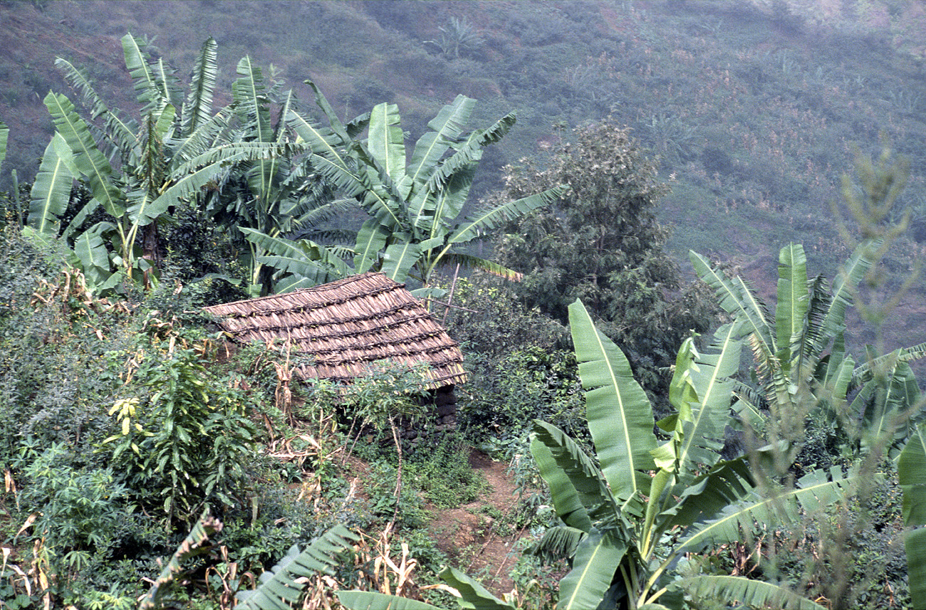 cve05_133m.jpg - Fogo monte Velha petite propriété..
