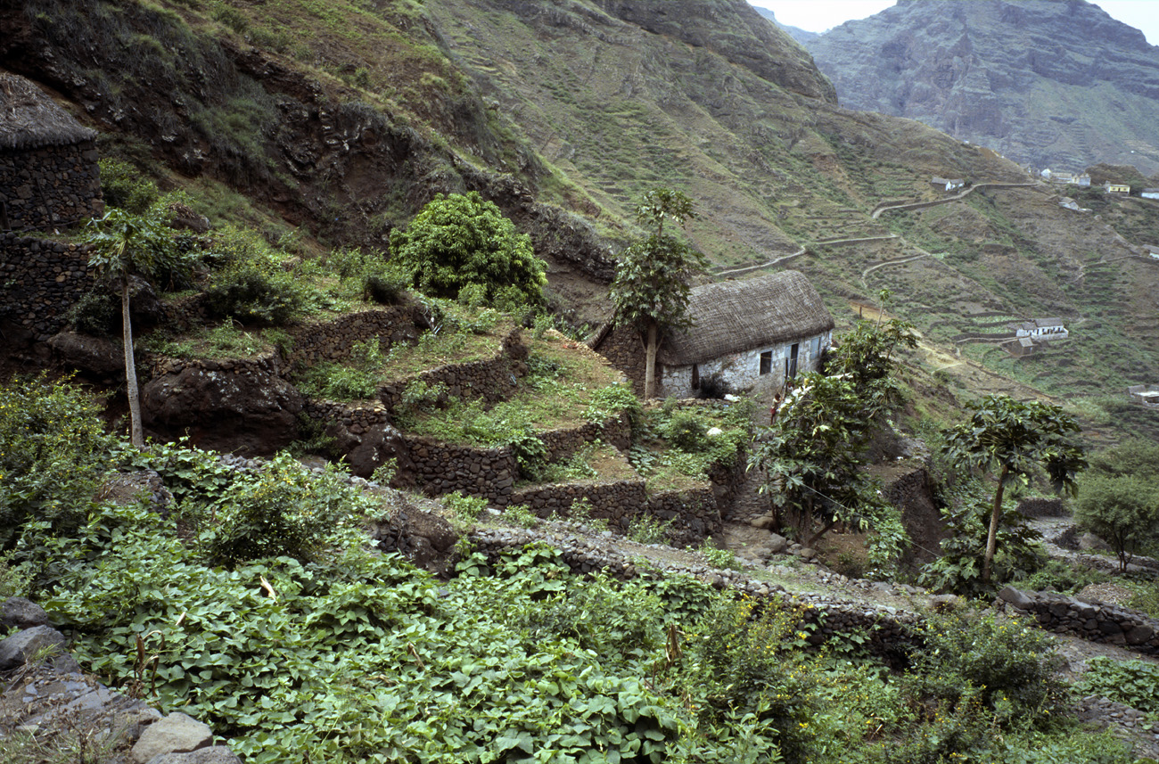 cve05_319l.jpg - Santo Antao Selada do Mocho la propriété de l'oncle de notre guide Jorge