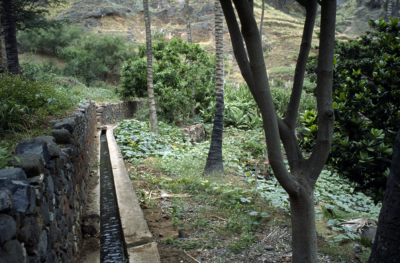 cve05_323l.jpg - Santo Antao Cha de Igreja les levadas serpentent à flanc de montagne pour distribuer l'eau dans les cultures