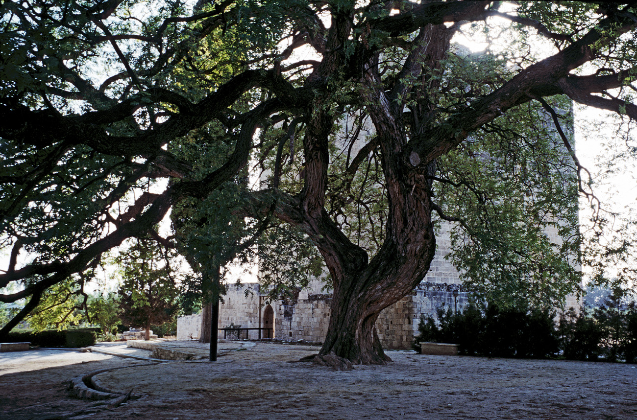 chy1998_05.jpg - région de Limassol, Kolossi la cour devant le donjon.La forteresse a été édifiée au 13ème siècle par les chevaliers de l'ordre de St Jean de Jérusalem (plus connus comme chevaliers de Malte) Ektachrome Elite 100