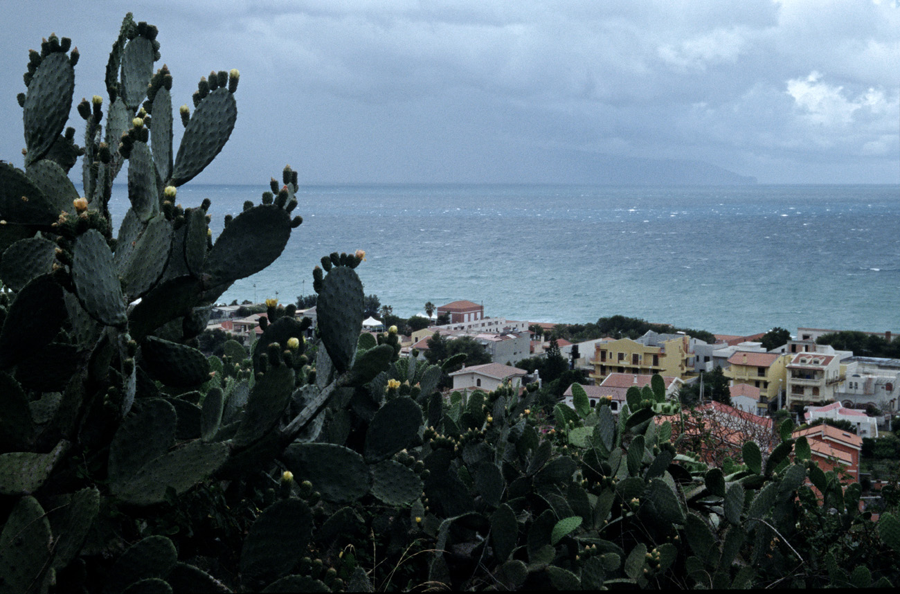 eol06_022.jpg - Italie, Îles Éoliennes - Milazzo maisons et figuiers de barbarie Fuji Provia 400 F