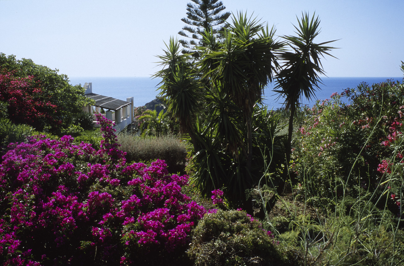 eol06_296l.jpg - Italie, îles Eoliennes Salina Pollara :  de beaux jardins dans un coin oublié et presque paradisiaque, dans le décor du film Le Facteur Fuji Velvia 100 F