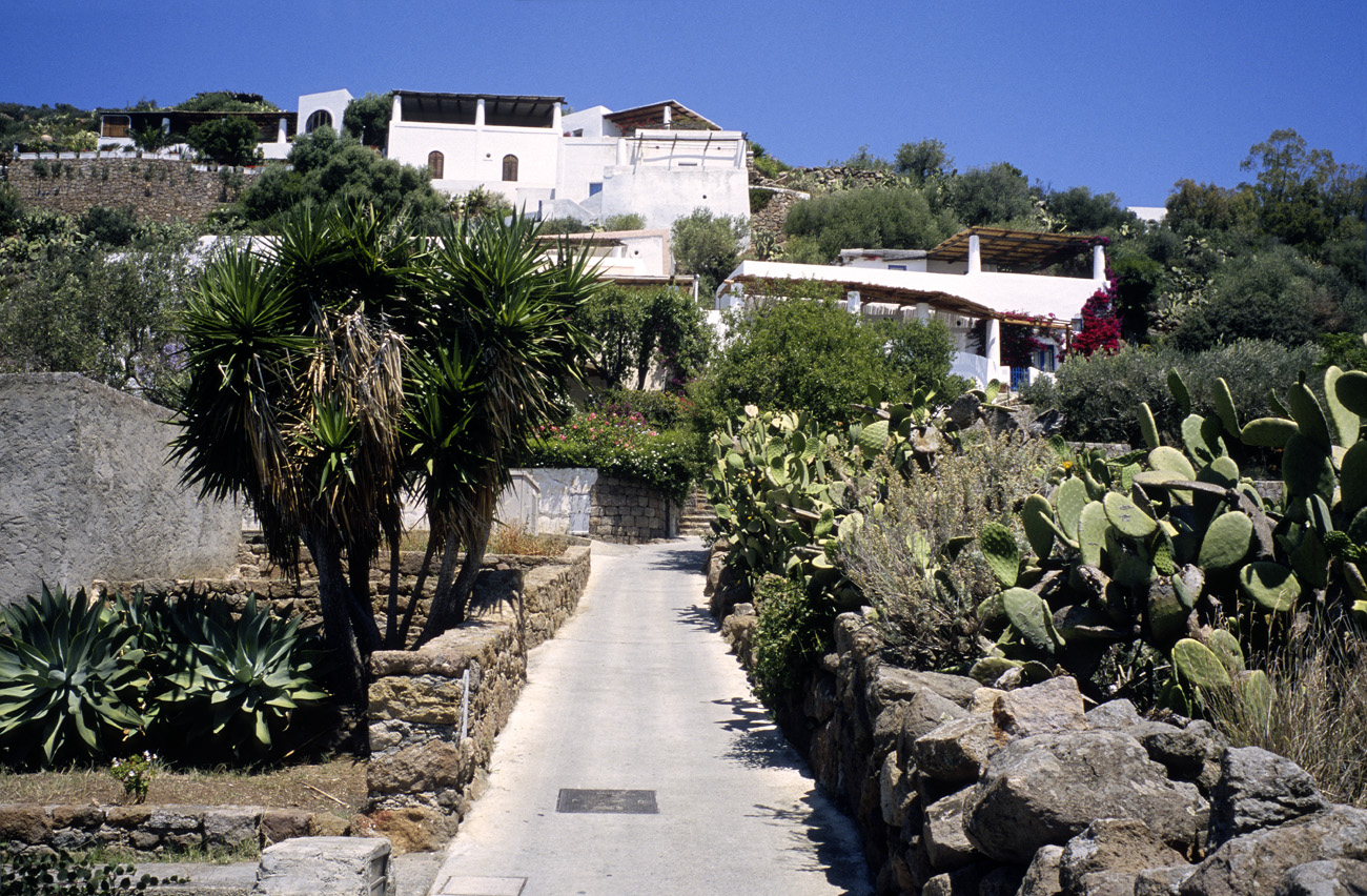 eol06_362la.jpg - Italie, îles Eoliennes Panarea retour vers le village parmi les jardins Fuji Velvia 100F