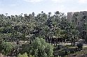 elche
