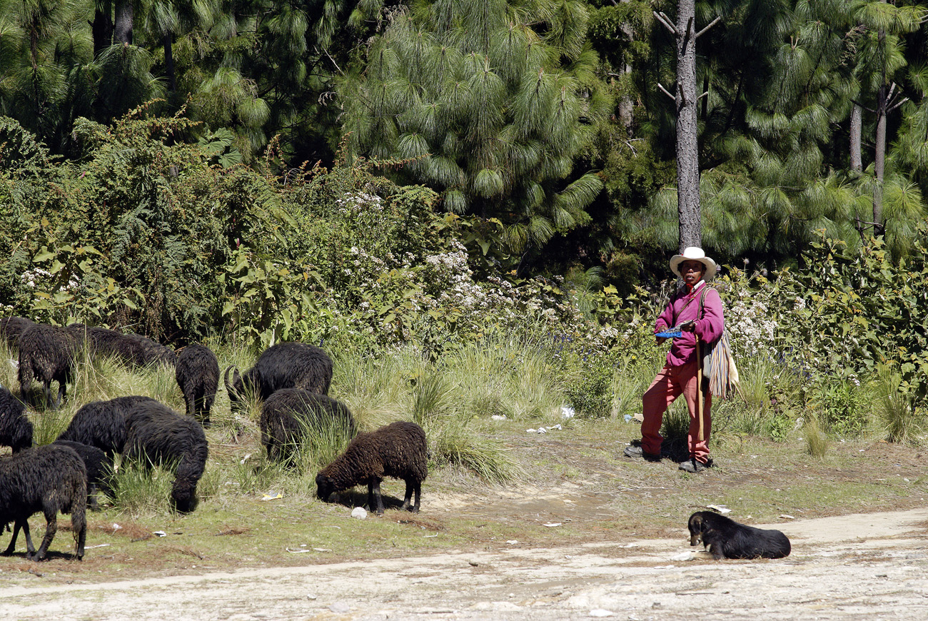 gua06_0310.jpg - autour de Quetzaltenango halte à un col à près de 3000 m avant de redescendre sur Quetzaltenango : les villageois de cette région sont très farouches et il vaut mieux éviter de les prendre en photo : il se tourne vers moi au moment du déclic furtif, mais ne réagit pas. A distance, il n'est probablement sûr de rien..