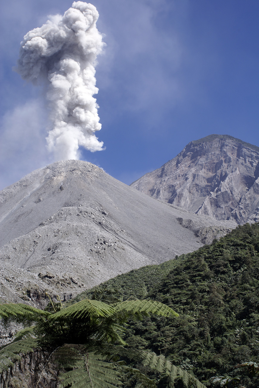 gua06_0379.jpg - volcan Santiaguito  finca Un des 5 volcans les plus dangereux du monde, formation en dôme avec poche de magma et activité peléenne. Les laves retombent le long des flancs (visibles de nuit) et chaque éruption donne lieu à des retombées de cendres. La colonne atteint généralement 1km, voire plus de hauteur, et peut s'accompagner de nuées ardentes.