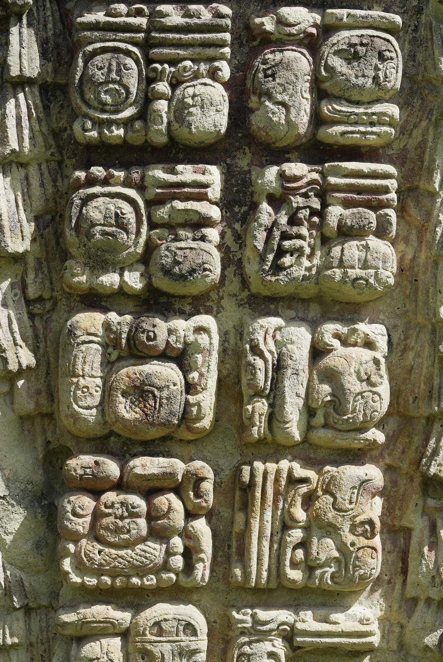 gua06_0687.jpg - Honduras ouest  Copan détail de stèle du groupe principal : pour la plupart, elles représentent, lorsqu'il ne s'agit pas d'inscriptions hiéroglyphiques, le roi 18-lapin, dernier de la lignée capturé lors d'une guerre avec la cité rivale de Quirigua lors de la période classique au 8ème siècle