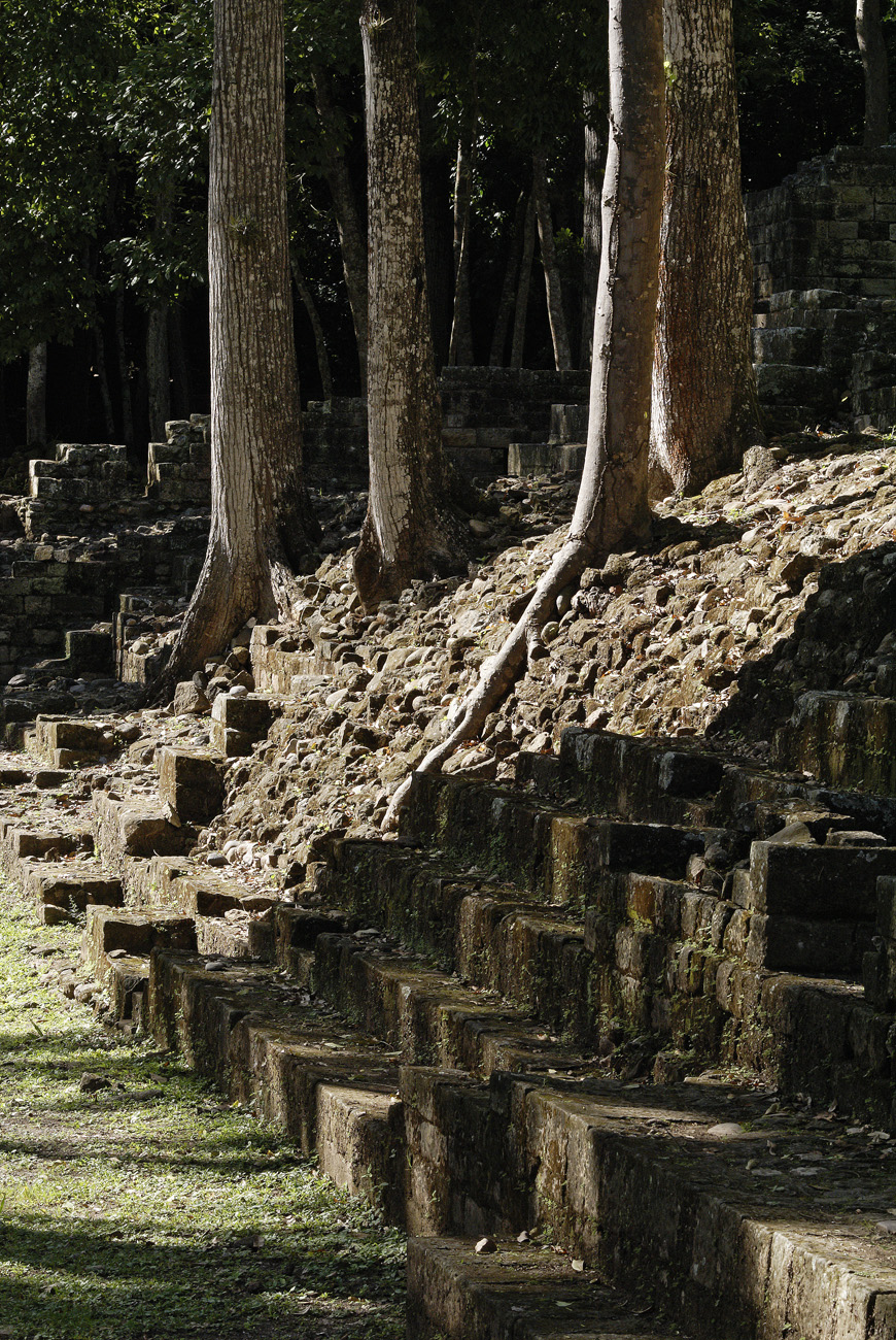 gua06_0751.jpg - Honduras ouest  Copan clair-obscur