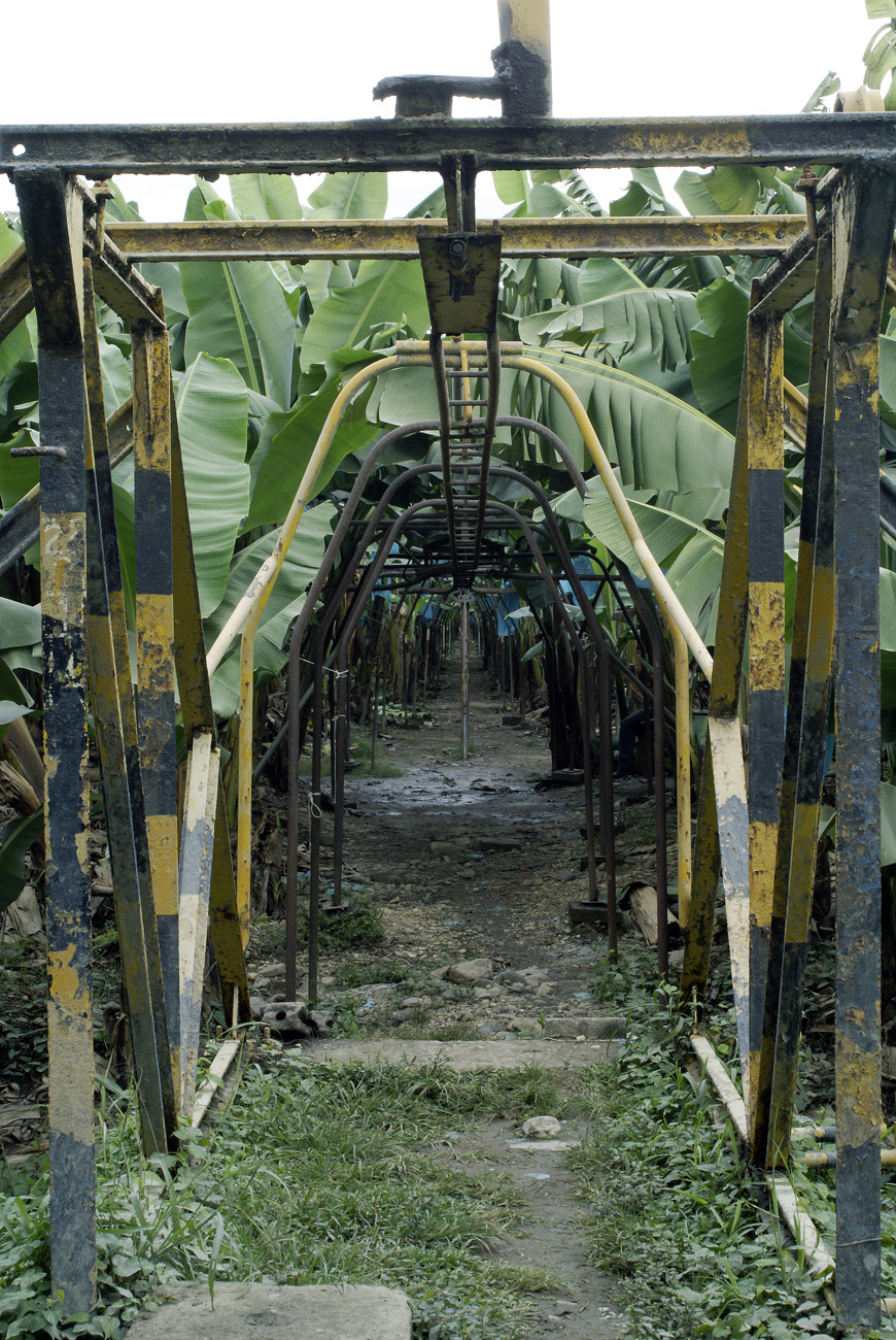 gua06_0789.jpg - Quirigua tunnel de transport des bananes
