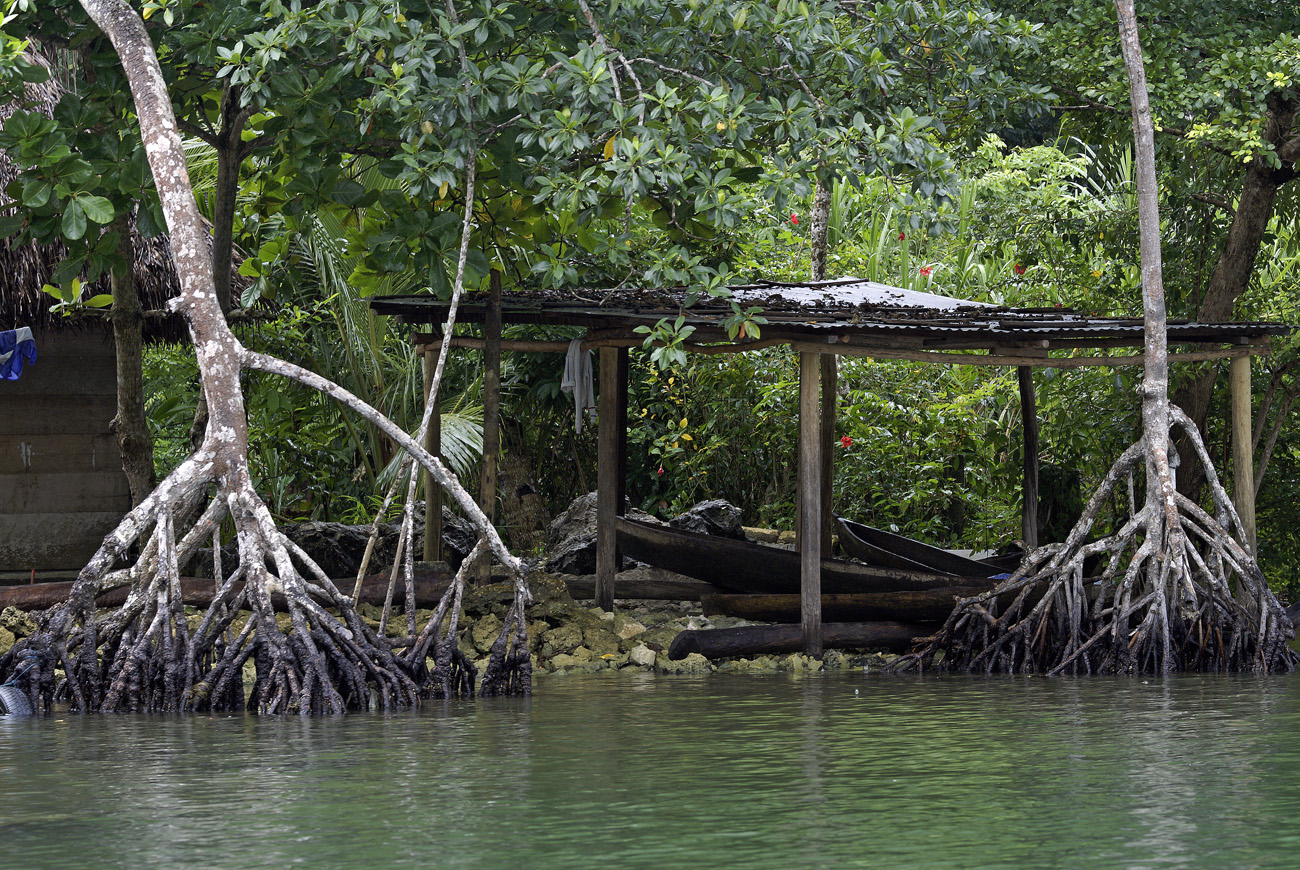 gua06_0954.jpg - rio Dulce case d'indien qeqchi