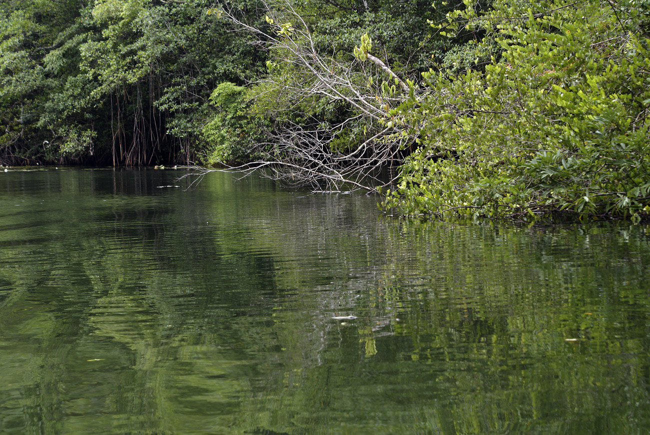 gua06_0965.jpg - rio Dulce 