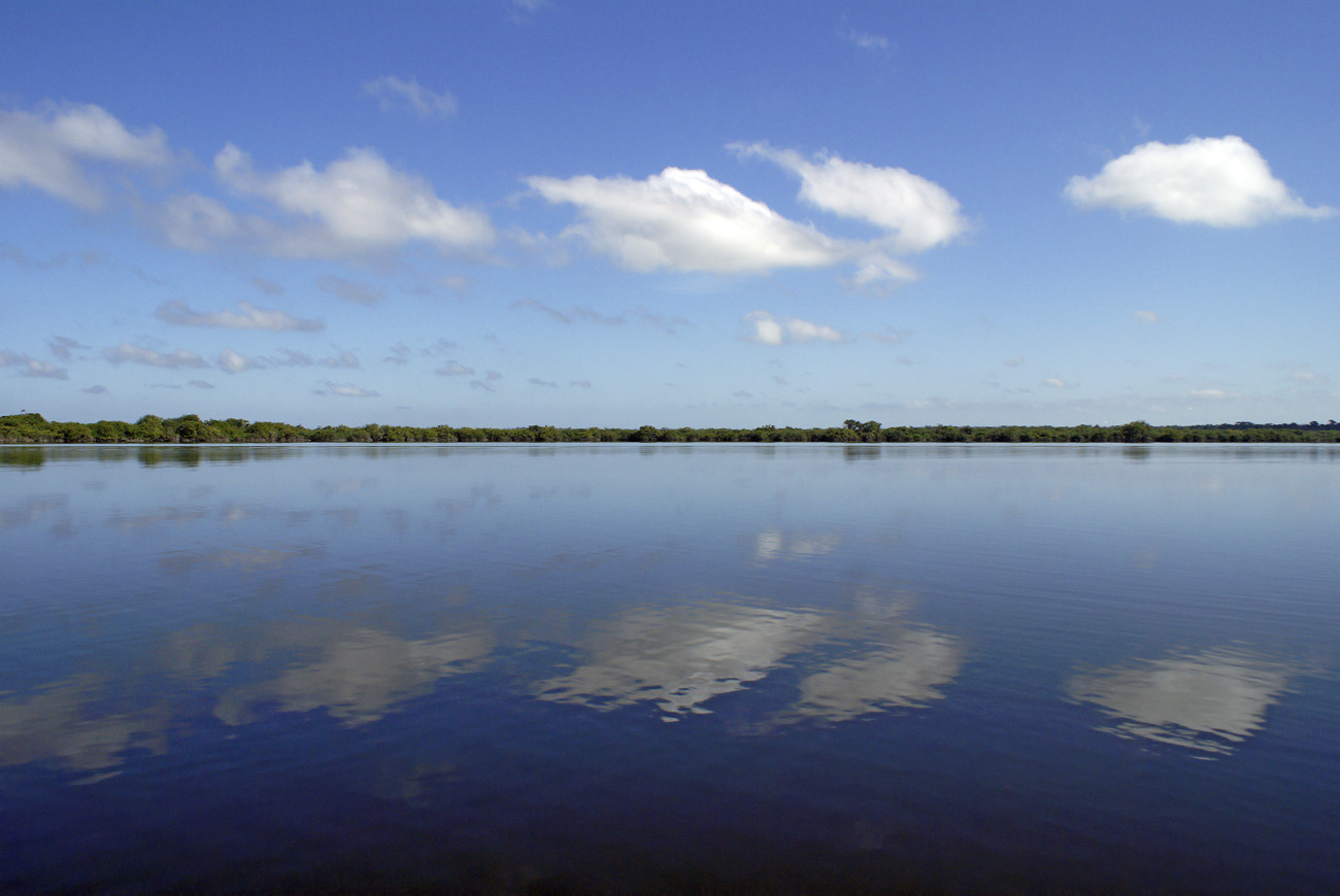 gua06_1063.jpg - rio de la Passion  lac Petexbatun 