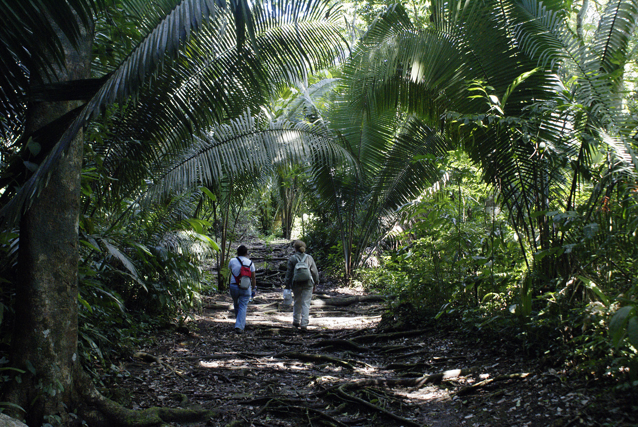 gua06_1074.jpg - Aguateca en route pour le site archéologique