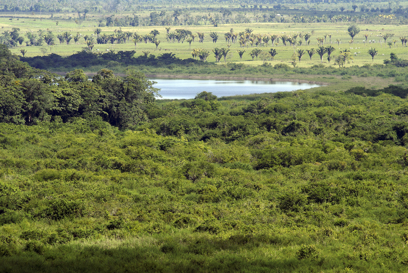 gua06_1077.jpg - Aguateca vue sur la plaine depuis un bevédère : on devine un lacet de la rivière, et on distingue bien au fond la zone défrichée où paissent les troupeaux