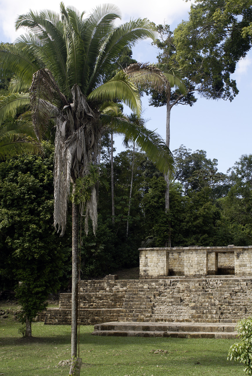 gua06_1084.jpg - Aguateca site archéologique