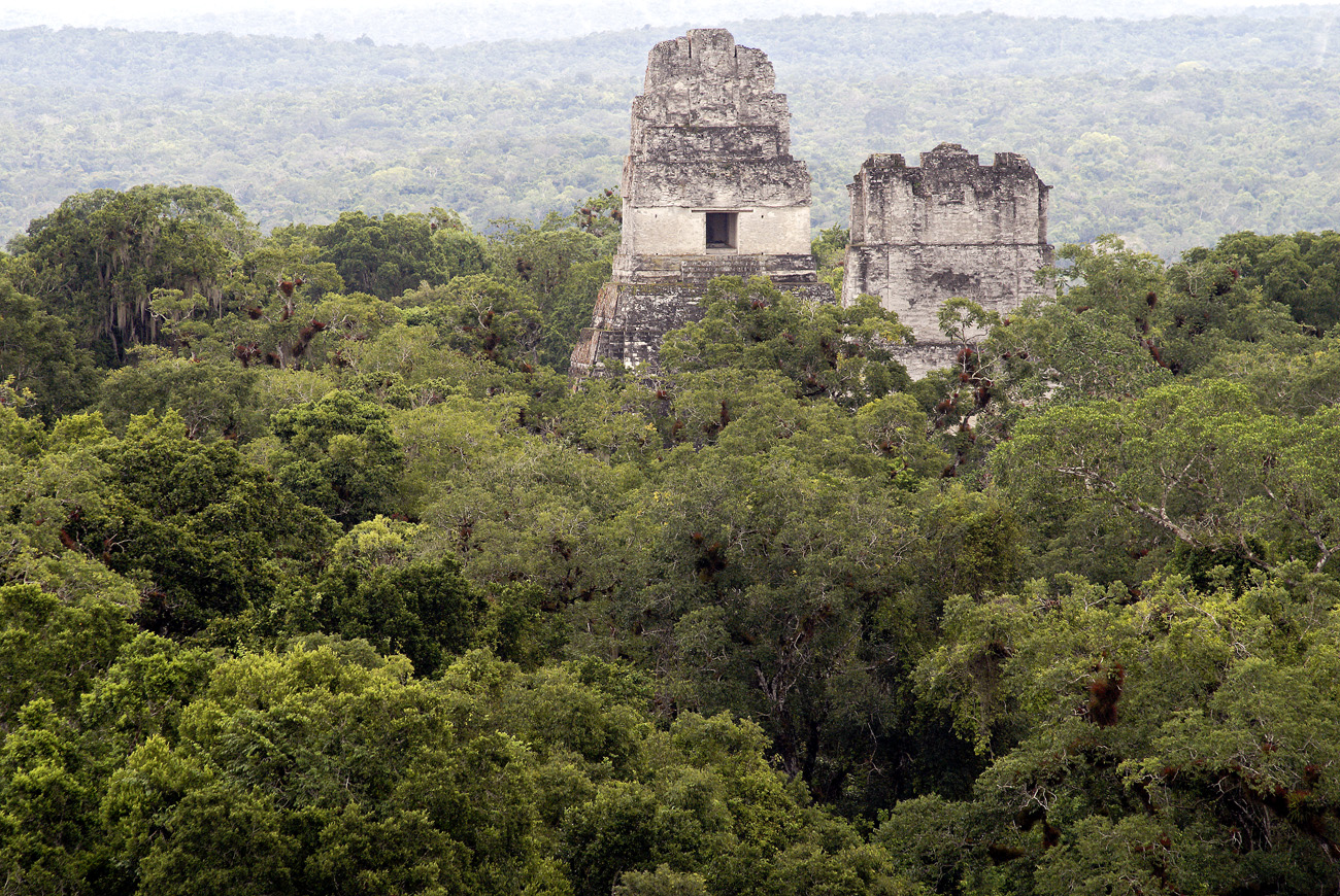 gua06_1153.jpg - Tikal depuis le temple IV, le plus haut, qui émerge de la canopée à près de 70m de hauteur, la vue est étonnante sur la sylve et les autres temples : ici les temples I et II qui se font face sur la grande place centrale