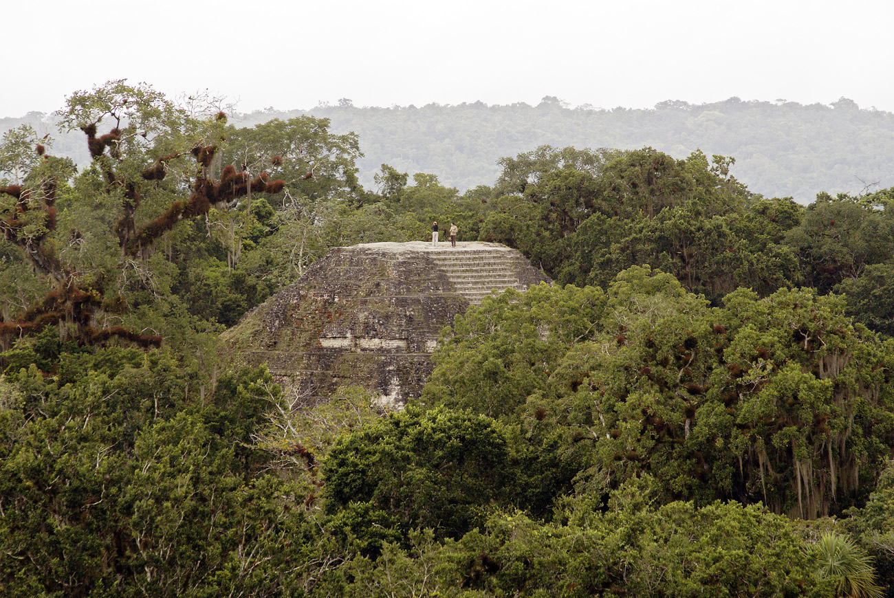 gua06_1154.jpg - Tikal depuis le temple IV, le plus haut, qui émerge de la canopée à près de 70m de hauteur, la vue est étonnante sur la sylve et les autres temples : ici le temple dit du Monde Perdu