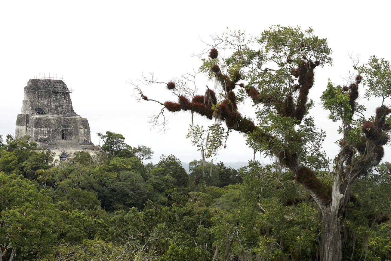 gua06_1175.jpg - Tikal le temple IV vu depuis le monde perdu