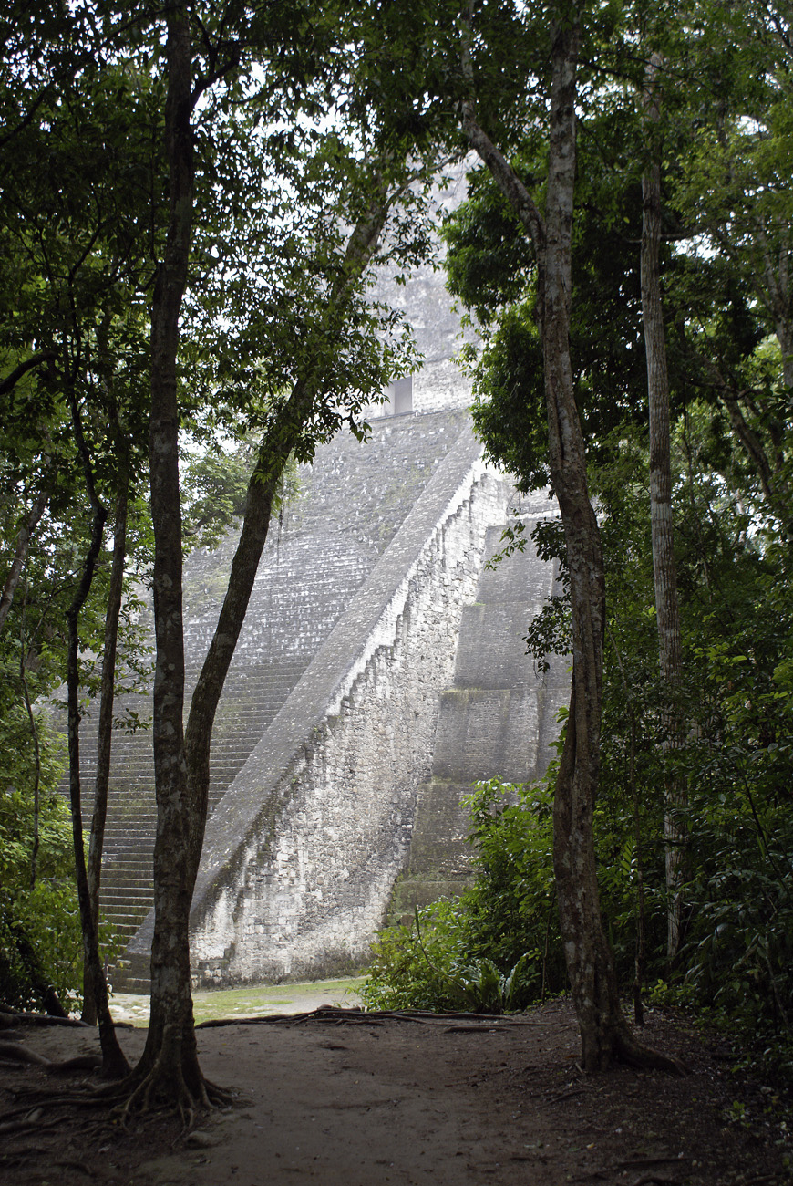 gua06_1192.jpg - Tikal le temple V, le second en importance, culmine à plus de 55 m de hauteur