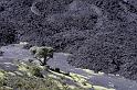 gua06_0554