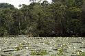 gua06_0990