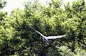 gua06_1057