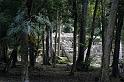 gua06_1104