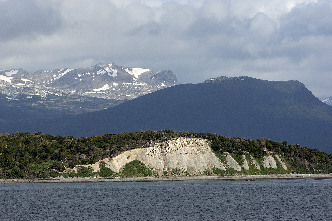 falk16-01-08_031.jpg